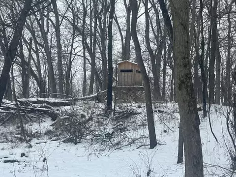 25500 U Dr S, Homer, MI 49245