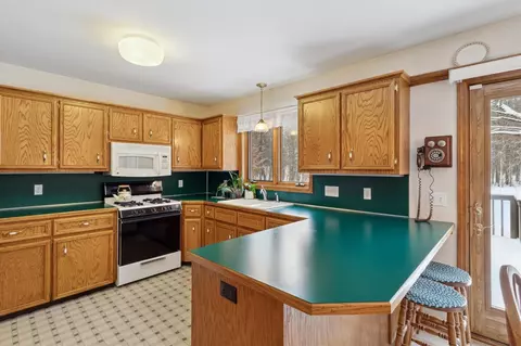 Kitchen - 4669 Forest Vale, Pierson, MI 49339 photo 1 of 5