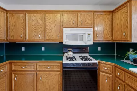 Kitchen - 4669 Forest Vale, Pierson, MI 49339 photo 3 of 5