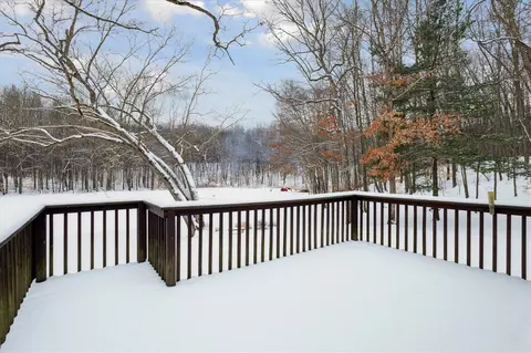 Exterior - 4669 Forest Vale, Pierson, MI 49339 photo 6 of 8