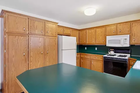 Kitchen - 4669 Forest Vale, Pierson, MI 49339 photo 2 of 5