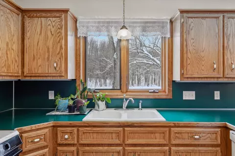 Kitchen - 4669 Forest Vale, Pierson, MI 49339 photo 5 of 5