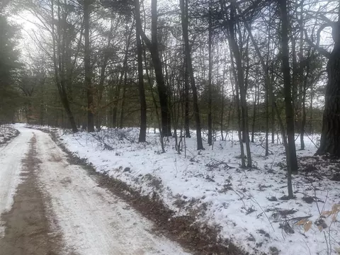 0 S Locust Ave, White Cloud, MI 49349 photo 11