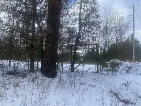 0 S Locust Ave, White Cloud, MI 49349 photo 12