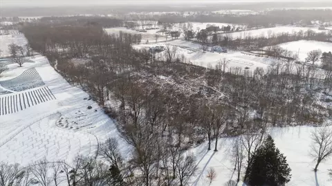 Gramer, Webberville, MI 48892 photo 8