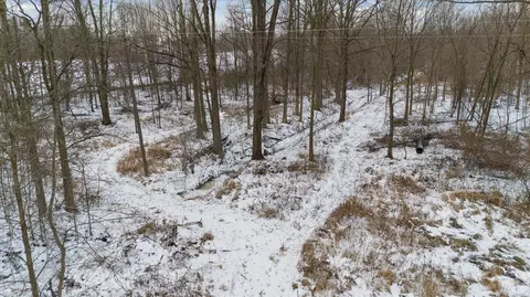 Gramer, Webberville, MI 48892 photo 14