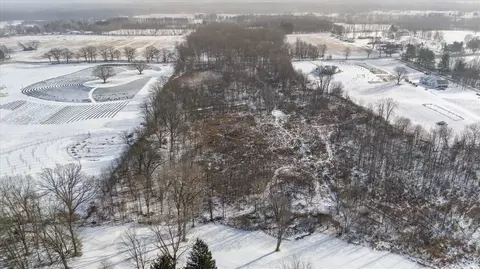 Gramer, Webberville, MI 48892 photo 9