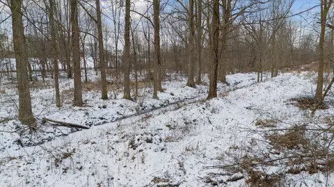 Gramer, Webberville, MI 48892 photo 15