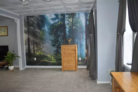 106 E Bellevue, Leslie, MI 49251 photo 30