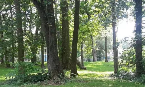 420 Morrell, Plainwell, MI 49080 photo 2