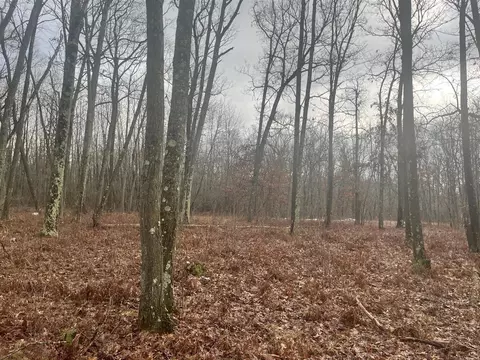 0 N Woodbridge, Update, MI 49309 photo 9