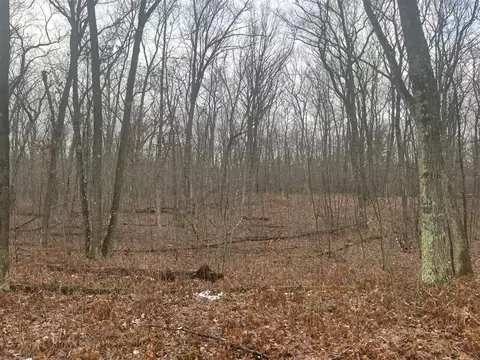 0 N Woodbridge, Update, MI 49309 photo 10