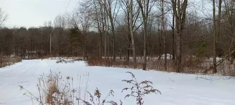 Vl Secluded Acres, Hastings, MI 49058