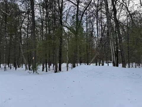 E Riverside Drive - C, Irons, MI 49644 photo 3