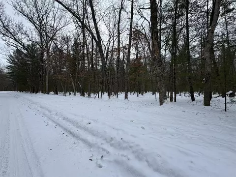 E Riverside Drive - C, Irons, MI 49644 photo 4