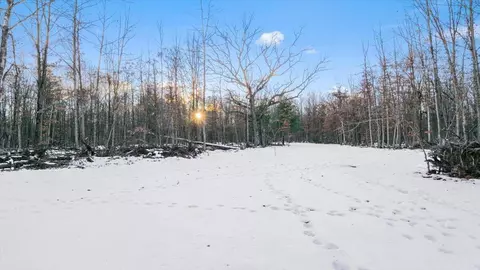 0 W Miller, Shepherd, MI 48883 photo 8