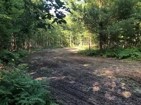 0 W Miller, Shepherd, MI 48883 photo 17