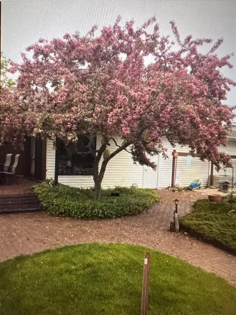 Exterior - 6680 Ormada, Kalamazoo, MI 49048 photo 9 of 12