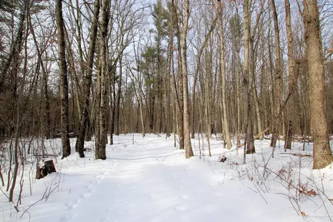 Other - 4530 Valeries, Newaygo, MI 49337 photo 13 of 14