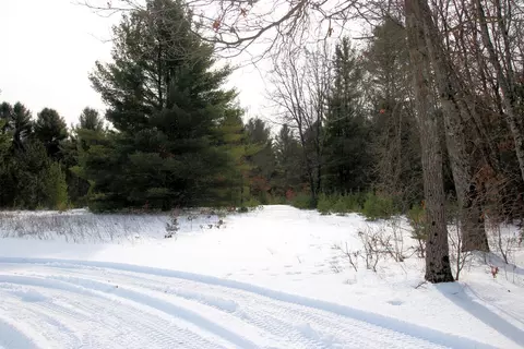 Other - 4530 Valeries, Newaygo, MI 49337 photo 12 of 14