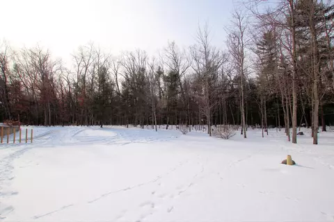 Exterior - 4530 Valeries, Newaygo, MI 49337 photo 6 of 8