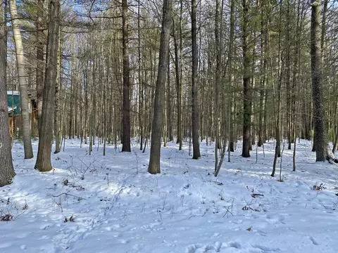 6790 Walnut Grv, Canadian Lakes, MI 49346