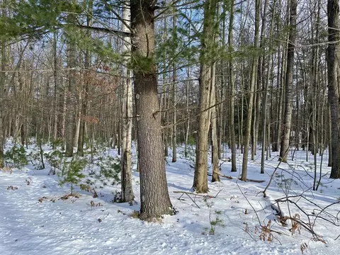6826 Cherry, Canadian Lakes, MI 49346