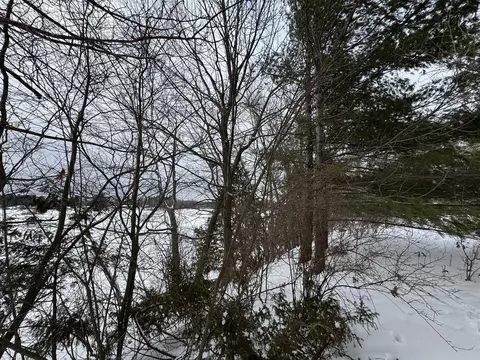 6 Mile, Irons, MI 49644 photo 9