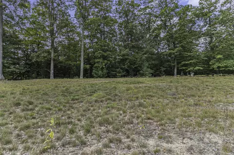 lot5 Pine, Mears, MI 49436 photo 16