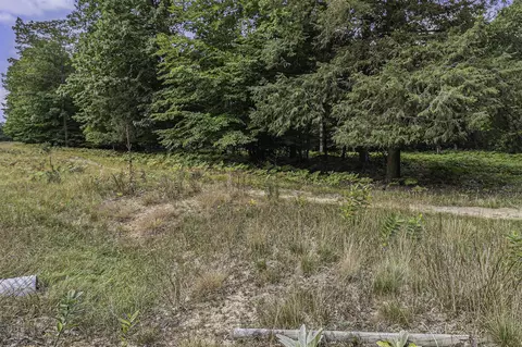 lot5 Pine, Mears, MI 49436 photo 21