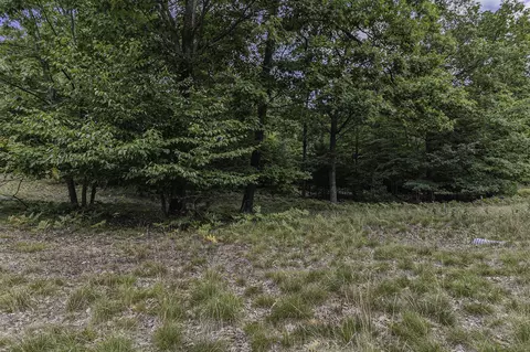 lot5 Pine, Mears, MI 49436 photo 15