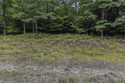 lot5 Pine, Mears, MI 49436 photo 9