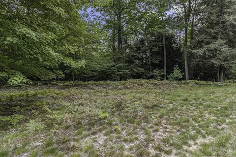 lot5 Pine, Mears, MI 49436 photo 10