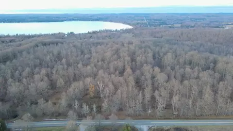 Potter, Bear Lake, MI 49614