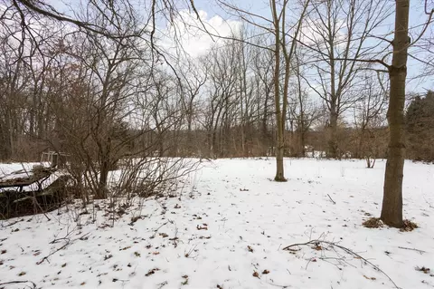 7311 Day, Bellevue, MI 49021 photo 3