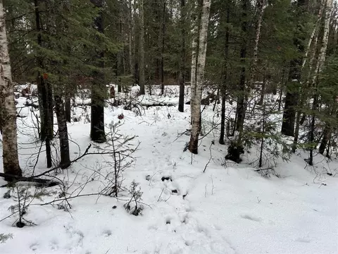 1791 Birch Lk, Update, MI 49969 photo 33
