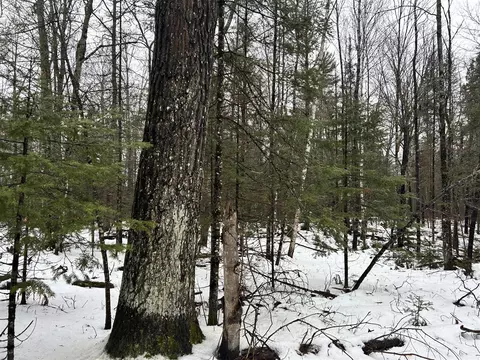 1791 Birch Lk, Update, MI 49969 photo 31