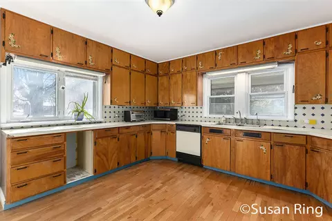 1561 W Ellis, Belding, MI 48809 photo 10