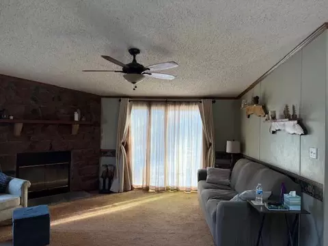 Living - 1660 E 128th, Grant, MI 49327 photo 2 of 3
