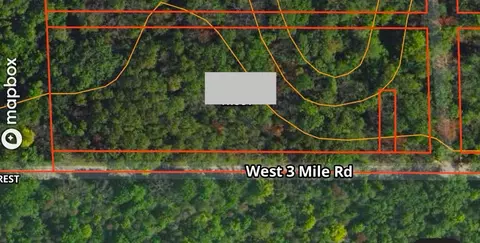 V/l 3 Mile, White Cloud, MI 49349 photo 11