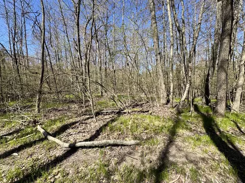 V/l 3 Mile, White Cloud, MI 49349 photo 3