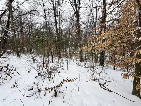 V/l Grand Blvd, White Cloud, MI 49349 photo 6