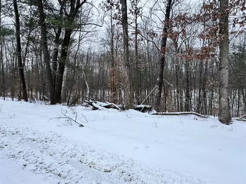 V/l Grand Blvd, White Cloud, MI 49349