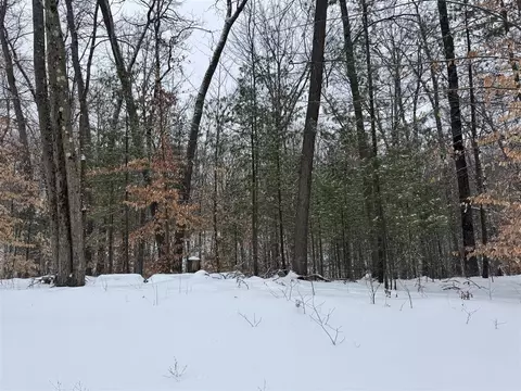 V/l Grand Blvd, White Cloud, MI 49349 photo 3