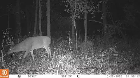 0 Dewey, Munith, MI 49259 photo 9