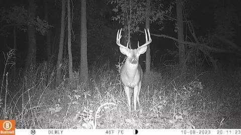 0 Dewey, Munith, MI 49259 photo 8