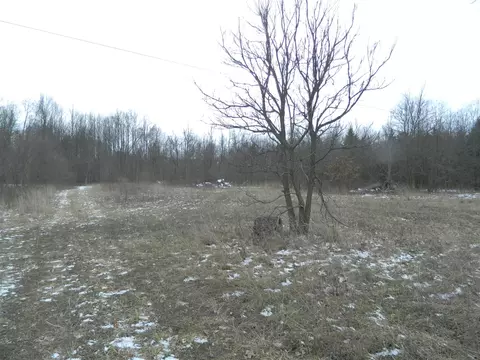 Mckenzie, Cassopolis, MI 49031 photo 5