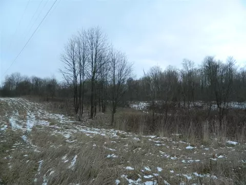 Mckenzie, Cassopolis, MI 49031