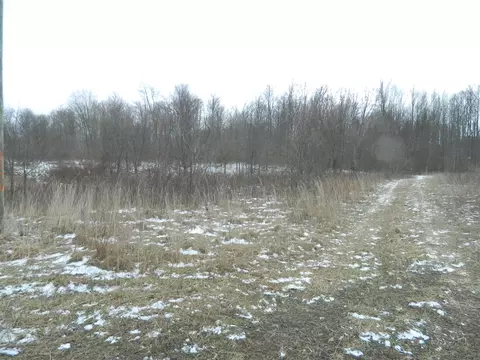 Mckenzie, Cassopolis, MI 49031 photo 3