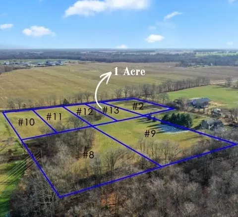 Parcel 13 Kingston, Ionia, MI 48846